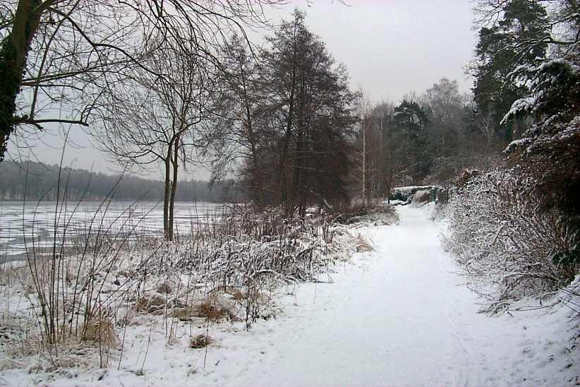 Uferweg am Griebnitzsee. im Winter.